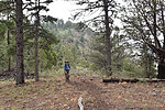 photo thumbnail #7
