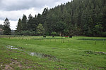 photo thumbnail #10