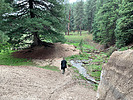 photo thumbnail #13
