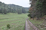 photo thumbnail #4