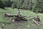 photo thumbnail #9