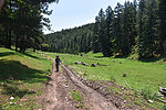 photo thumbnail #2