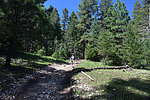 photo thumbnail #8