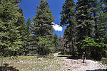 photo thumbnail #6