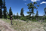 photo thumbnail #9