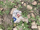 photo thumbnail #4