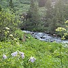 photo thumbnail #13