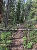 photo thumbnail #7