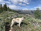 photo thumbnail #4