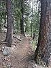 photo thumbnail #2