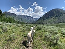 photo thumbnail #3