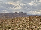 photo thumbnail #7