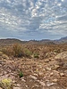 photo thumbnail #11