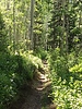 photo thumbnail #8