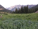 photo thumbnail #6