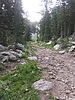 photo thumbnail #8