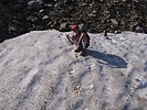 photo thumbnail #14