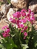 photo thumbnail #15
