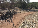 photo thumbnail #4