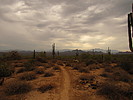 photo thumbnail #8