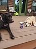 photo thumbnail #1
