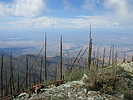 photo thumbnail #8