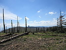 photo thumbnail #11