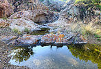 photo thumbnail #5