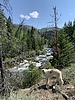 photo thumbnail #6