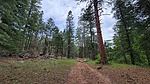photo thumbnail #10