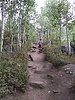 photo thumbnail #2