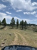 photo thumbnail #1
