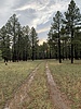 photo thumbnail #4