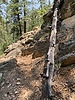 photo thumbnail #10