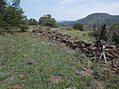 photo thumbnail #13