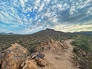 photo thumbnail #5