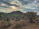 photo thumbnail #9