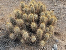 photo thumbnail #11