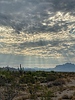 photo thumbnail #14