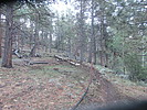 photo thumbnail #2