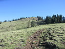 photo thumbnail #9