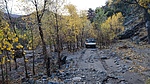 photo thumbnail #5