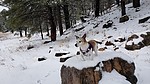 photo thumbnail #1