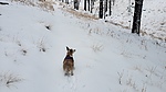 photo thumbnail #2