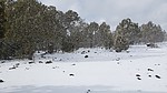photo thumbnail #6