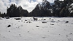 photo thumbnail #8