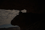 photo thumbnail #12