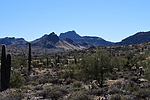 photo thumbnail #3