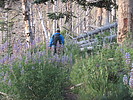 photo thumbnail #5