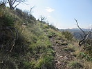 photo thumbnail #9